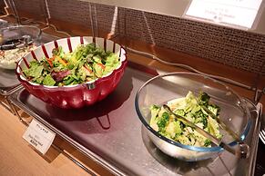 Dormy Inn Premium Namba ANNEX Natural Hot Spring