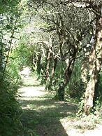 Agriturismo La Casa della Lavanda - Il Casale