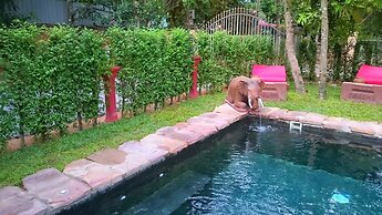 ManuelaEric Homestay