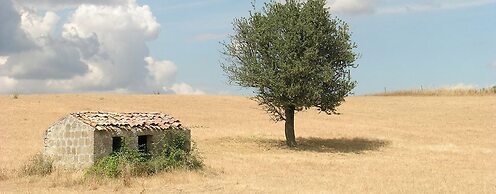 Poggio Del Castagno