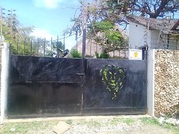 Lion Villa