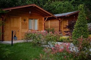 Sapanca Alfa Suites & SPA