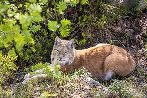 Ranua Resort Holiday Village