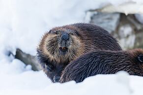 Ranua Resort Holiday Village