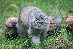 Ranua Resort Holiday Village