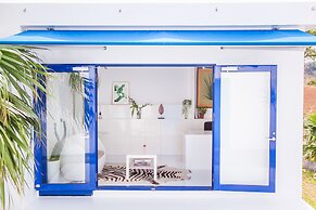 Windy Earth SILENT CLUB