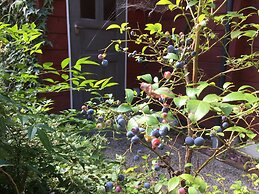 Guest House Chalet Sielu