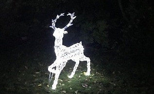 Auchenheglish Lodges - Chapelhill