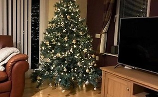 Auchenheglish Lodges - Chapelhill