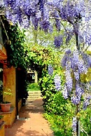 Agriturismo Solidor