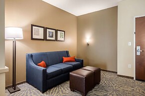 Comfort Suites - South Austin