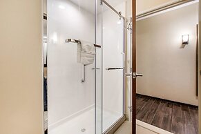 Comfort Suites - South Austin