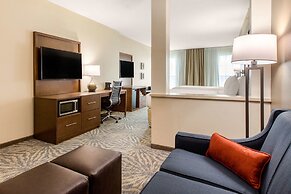 Comfort Suites - South Austin