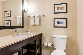 Comfort Suites - South Austin