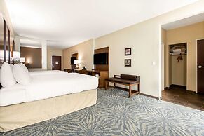 Comfort Suites - South Austin