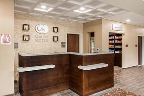 Comfort Suites - South Austin