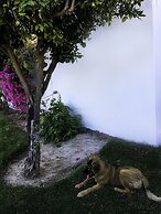 Vila Sta Teresinha Suites