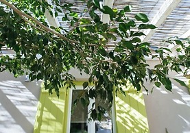 Cozy 2-bedroom House in Tinos