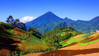 Hotel Vintage Casa las Flores