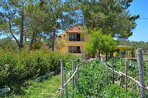 Alexandra Apartments