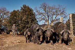 Agriturismo Casa Al Gianni