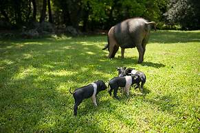 Agriturismo Casa Al Gianni