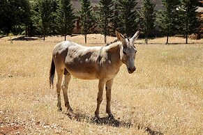 Agriturismo Casa Al Gianni