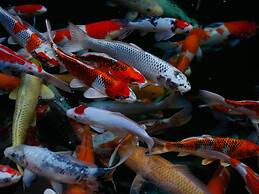 LiuHeYunYan Hotel.Dali