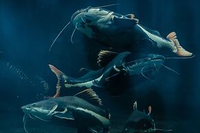 LiuHeYunYan Hotel.Dali