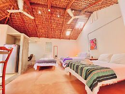 Hotel Perro Surfero Todos Santos