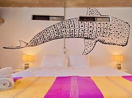 Hotel Perro Surfero Todos Santos