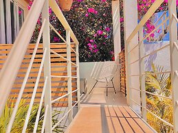 Hotel Perro Surfero Todos Santos