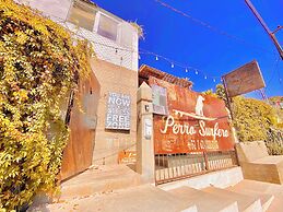 Hotel Perro Surfero Todos Santos