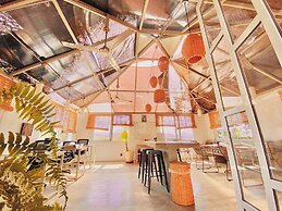 Hotel Perro Surfero Todos Santos