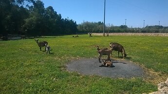 Il Venticello Agriturismo