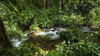 Toucanet Lodge