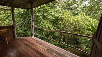 Toucanet Lodge