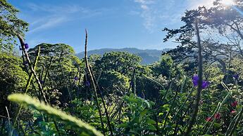 Toucanet Lodge