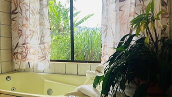 Toucanet Lodge