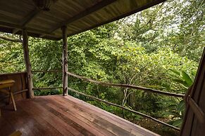 Toucanet Lodge