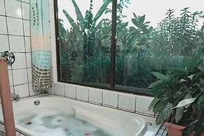 Toucanet Lodge