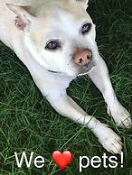 The Colony House Palm Springs