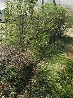 Hotel Shirakabako Sakaeen