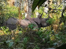 Chital Lodge