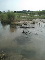 Chital Lodge