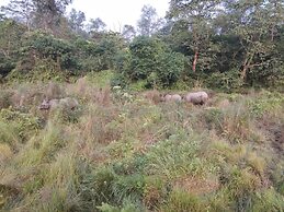Chital Lodge