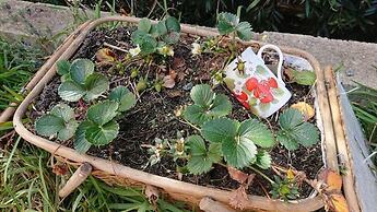 The Cottage on George Street
