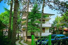 Lignano Pineta near Beach