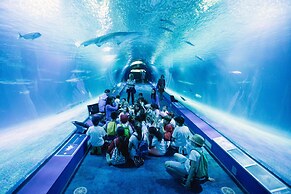 El Coral Apartment Valencia