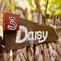 Wind Blend Kite Resort